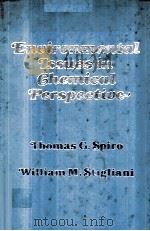 ENVIRONMENTAL ISSUES IN CHEMICAL PERSPECTIVE PDF电子版封面 0873954270 THOMAS G.SPIRO AND WILLIAM M.S