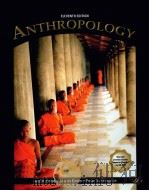 ANTHROPOLOGY  ELEVENTH EDITION     PDF电子版封面  9780131849751  CAROL R.EMBER  MELVIN EMBER  P 
