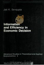 Information and Efficiency in Economic Decision PDF电子版封面 9024730724 Jati K.Sengupta