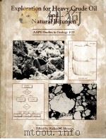 Exploration for Heavy Crude Oil and Natural Bitumen PDF电子版封面 0891810315 Richard F.Meyer
