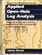 Applied Open-Hole Log Analysis Contributions in Petroleum Geology & Engineering Volume 2 PDF电子版封面 0872016382 James Brock
