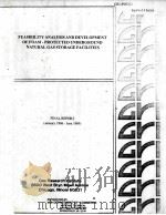 FEASIBILITY ANALYSIS AND DEVELOPMENT OF FOAM-PROTECTED UNDERGROUND NATURAL GAS STORAGE FACILITIES F PDF电子版封面