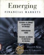 Emerging Financial Markets PDF电子版封面 0072425148 David O.Beim Charles W.Calomi
