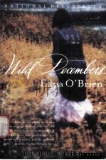 EDNA O'BRIEN Wild Decembers A NOVEL PDF电子版封面 0618126910