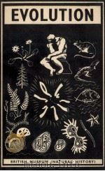 A HANDBOOK ON EVOLUTION SECOND ENLARGED EDITION（1959 PDF版）