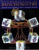 FUNDAMENTALS OF BIOCHEMISTRY     PDF电子版封面  0471586501  Donald Voet  Judith G.Voet  Ch 