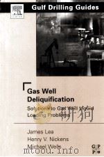 GAS WELL DELIQUIFICATION SOLUTION TO GAS WELL LIQUID LOADING PROBLEMS PDF电子版封面 0750677244
