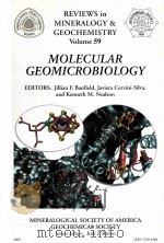 MOLECULAR GEOMICROBIOLOGY REVIEWS IN MINERALOGY AND GEOCHEMISTRY VOLUME 59 2005 PDF电子版封面 0939950715 Jillian F.Banfield Javiera Cer