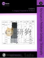 KEY ISSUES IN EARTH SCIENCES  Key Issues in Petroleum Geology:Stratigraphy（ PDF版）