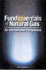 Fundamentals of Natural Gas:An International Perspective（ PDF版）