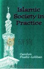 JSLAMIC SOCIETY IN PRACTICE 1994 PDF电子版封面 CAROLYN FLUEHR-LOBBAN