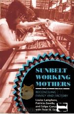 SUNBELT WORKING MOTHES:RECONCILING FAMILY AD FACTORY（1993 PDF版）