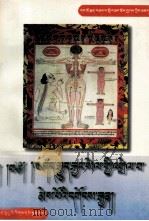 藏药性能明释  藏文   1997  PDF电子版封面  7542105159  达莫·门让巴·洛桑却札 