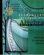 ELEMENTARY AND INTERMEDIATE ALGEBRA CONCEPTS AND APPLICATIONS:A COMBINED APPROACH SECOND EDITION   1998  PDF电子版封面     