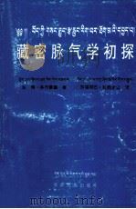 藏密脉气学初探 藏文 1997 PDF电子版封面 7542105043 东秀·多丹赛盖;东堪岗巴·扎西才让