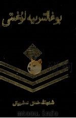 会计词典  维吾尔文   1989  PDF电子版封面  722800616X  买买提·肉孜，吾马尔江，王建新 