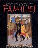 SOCIOLOGY OF FAMILIES PDF电子版封面 076198514x