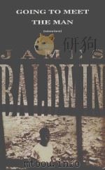GOING TO MEET THE MAN JAMES PDF电子版封面 0679761799