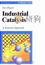JENS HAGEN INDUSTRIAL CATALYSIS A PRACTICAL APPROACH PDF电子版封面 3527295283
