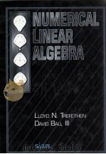 NUMERICAL LINEAR ALGEBRA（ PDF版）