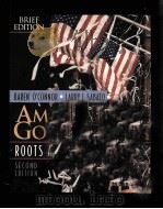 AMERICAN GOVERNMENT ROOTS AND REFORM PDF电子版封面 020519334x