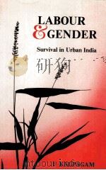 LABOUR AND GENDER     PDF电子版封面     