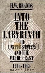 INTO THE LABYRINTH THE UNITED STATES AND THE MIDDLE EAST 1945-1993 PDF电子版封面 0070071888