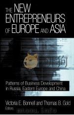THE NEW ENTREPRENEURS OF EUROPE AND ASIA     PDF电子版封面  076560776X  M.E.SHARPE 