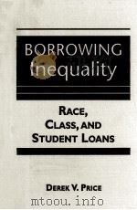 BORROWING INEQUALITY PDF电子版封面 DEREK V.PRICE
