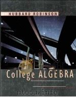 COLLEGE ALGEBRA VISUALIZING AND DETERMINING SOLUTIONS PDF电子版封面 0395818567 RONALD D.ROBINSON