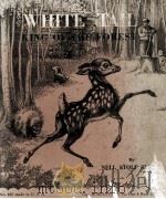 WHITE TAIL KING OF THE FOREST PDF电子版封面