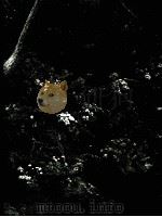 ROCK AND WATER GARDENS（ PDF版）
