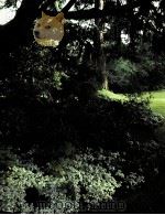 Shade Gardens  THE TIME-LIFE ENCYCLOPEDIA OF GARDENING（ PDF版）