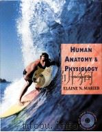HUMAN ANATOMY & PHYSIOLOGY FOURTH EDITION     PDF电子版封面  080534196X  ELAINE N.MARIEB 