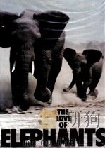 THE LOVE OF ELEPHANTS NEIL MURRAY PDF电子版封面