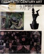 TWENTIETH CENTURY ART MICHAEL BATTERBERRY     PDF电子版封面     