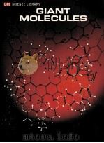 LIFE SCIENCE LIBRARY GIANT MOLECULES     PDF电子版封面     