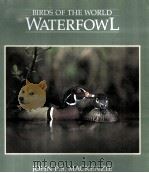 BIRDS OF THE WORLD WATERFOWL PDF电子版封面 0245547339