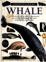 EYEWITNESS BOOKS WHALE PDF电子版封面 0679838848