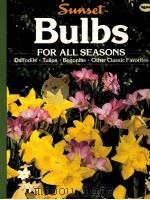 Swnset Bulbs FOR ALL SEASONS PDF电子版封面 0376030860