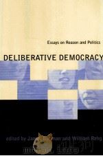 DELIBERATIVE DEMOCRACY ESSAYS ON REASON AND POLITICS PDF电子版封面