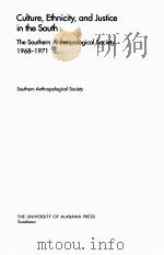 CULTURE ETHNICITY AND JUSTICE IN THE SOUTH PDF电子版封面 0817314482