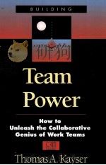 TEAM POWER HOW TO UNLEASH THE COLLABORATIVE GENIUS OF WORK TEAMS PDF电子版封面 0786303026