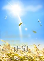 WORKSHOP ON MICROMETEOROLOGY 3 PDF电子版封面