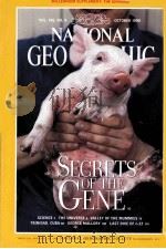 NATIONAL GEOGRAPHIC  VOL.196  NO.4  OCTOBER 1999     PDF电子版封面     