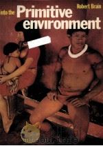 into the Primitive environment（ PDF版）