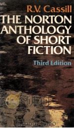 THE NORTON ANTHOLOGY OF SHORT FICTION PDF电子版封面 0393954730
