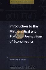 INTRODUCTION TO THE MATHEMATICAL AND STATISTICAL FOUNDATIONS OF ECONOMETRICS PDF电子版封面