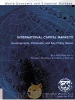 INTERNATIONAL CAPITAL MARKETS PDF电子版封面