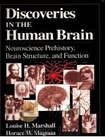 DISCOVERIES IN THE HUMAN BRAIN PDF电子版封面 0896034356